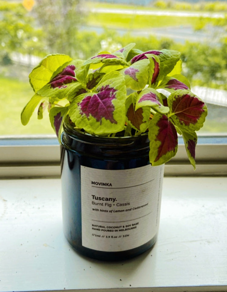 Tuscany Candle Cinnamon | Tuscany Candles | MOVINKA